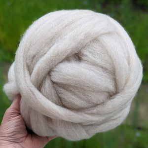 Roving or Combed Top